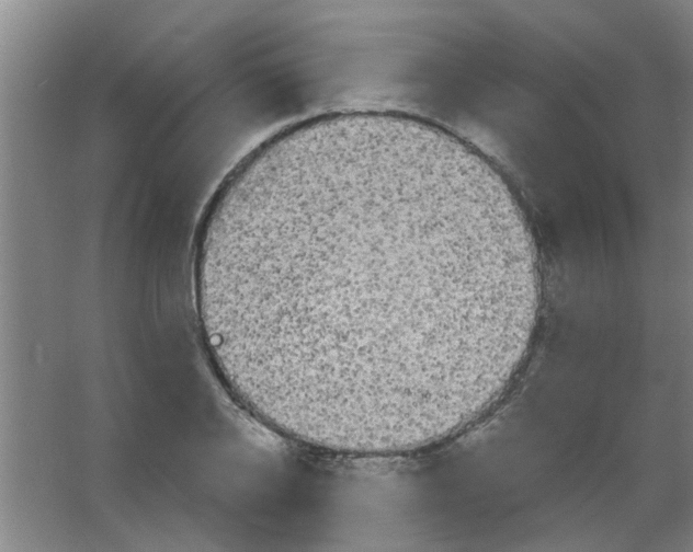 X0000053460934200508112153.png
