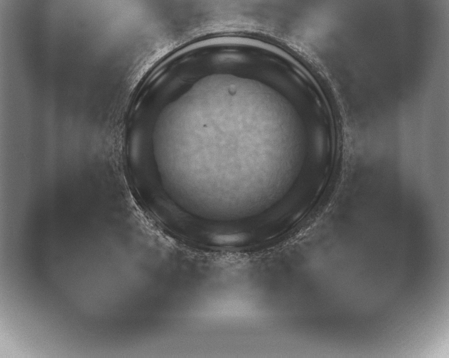 X0000038920945200409291002.png
