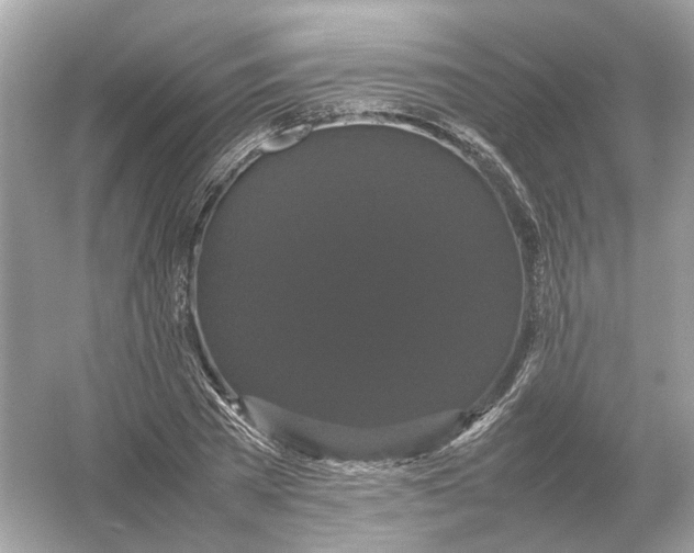 X0000054350785200508190127.png