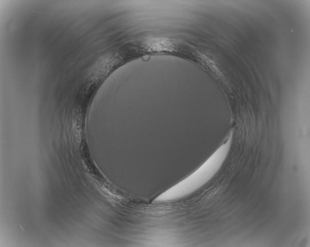 X0000054350402200508190133.png