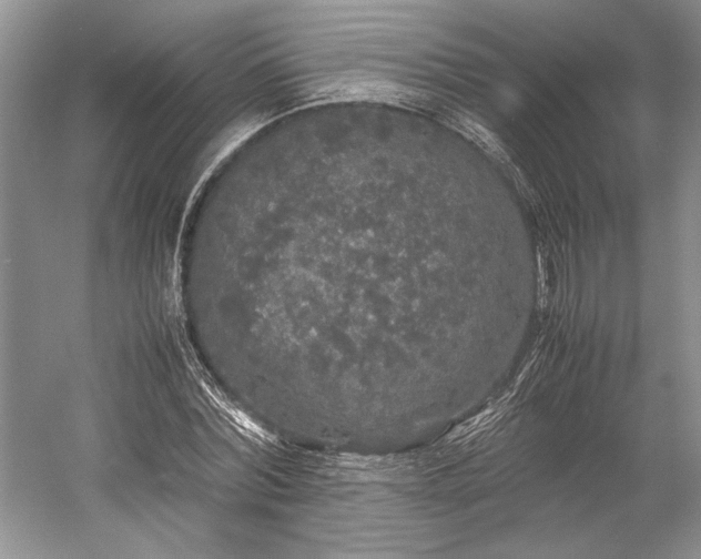 X0000055060780200508161644.png