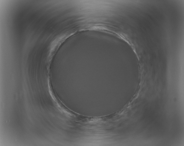 X0000054350097200508190139.png