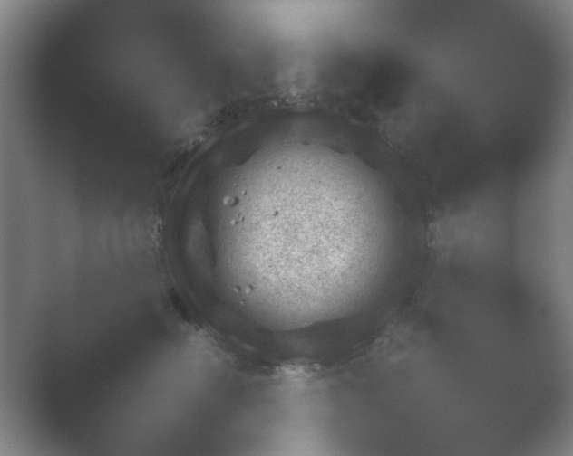 X0000054110662200508022100.png
