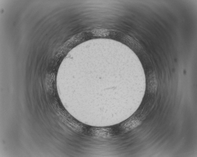 X0000054580229200508300109.png