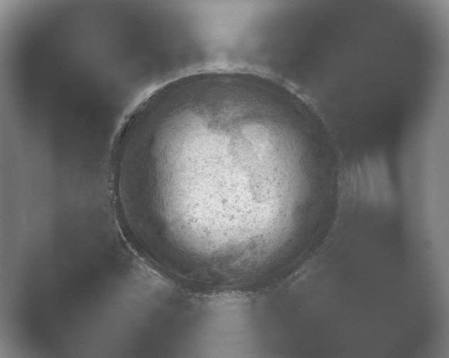 X0000052281454200507132016.png