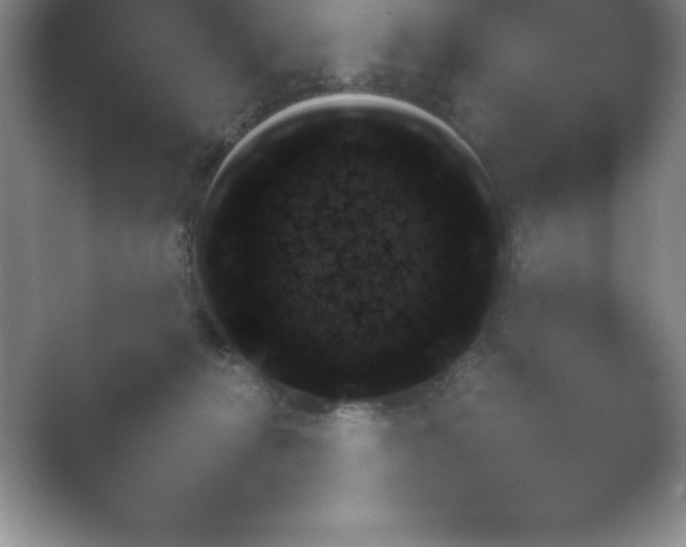 X0000054730270200508171859.png