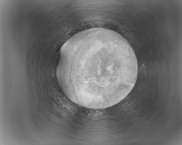 X0000055250772200509071614.png