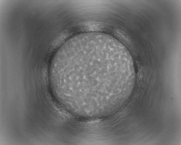 X0000054350306200508190135.png
