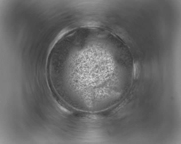 X0000054300195200508042319.png