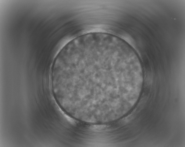 X0000053461290200508112147.png