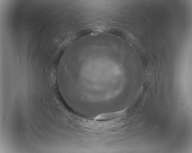 X0000055060043200508161657.png