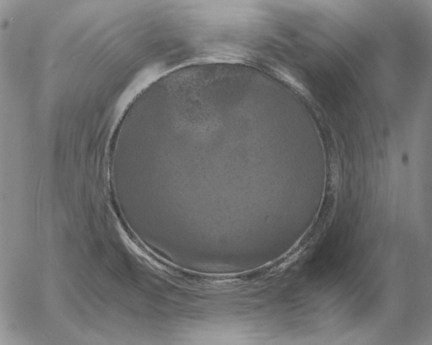 X0000054171471200508101747.png