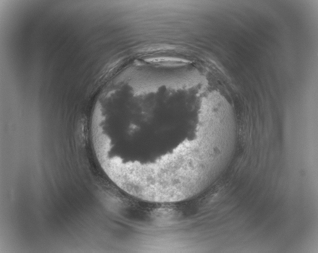 X0000054350119200508190138.png