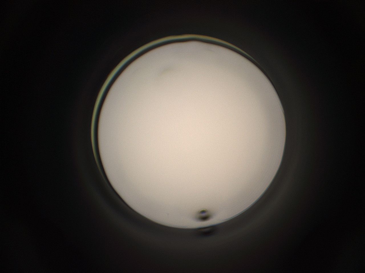 05g6_A19_ImagerDefaults_1.jpg