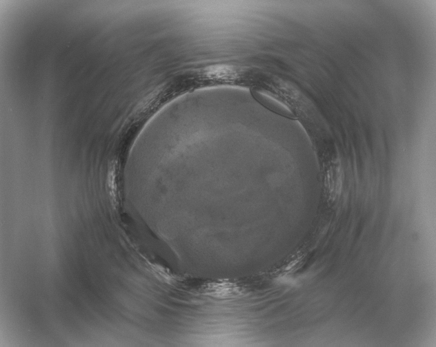 X0000054350424200508190133.png