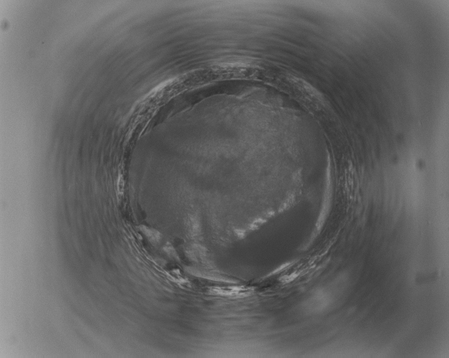 X0000054170821200508101757.png