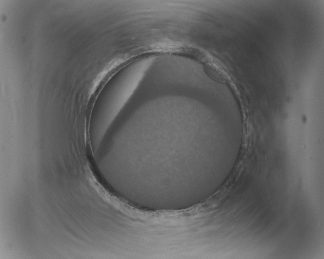 X0000054170011200508101811.png