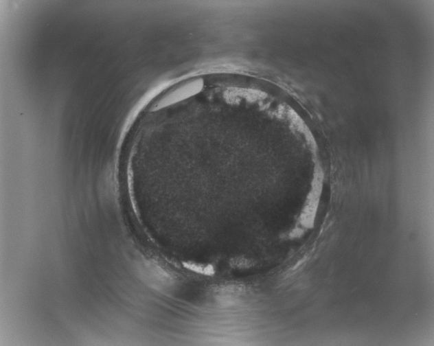 X0000054270200200508261925.png