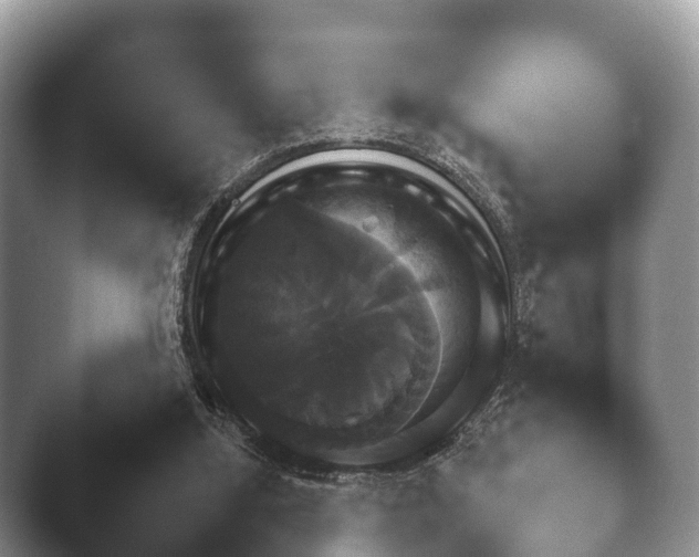 X0000045390060200501241413.png