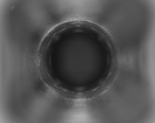 X0000054731118200508171844.png