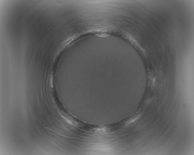 X0000054350068200508190139.png