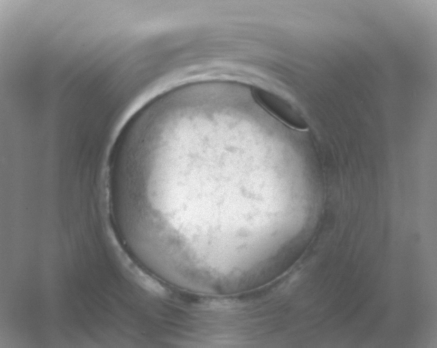 X0000054331522200508111905.png
