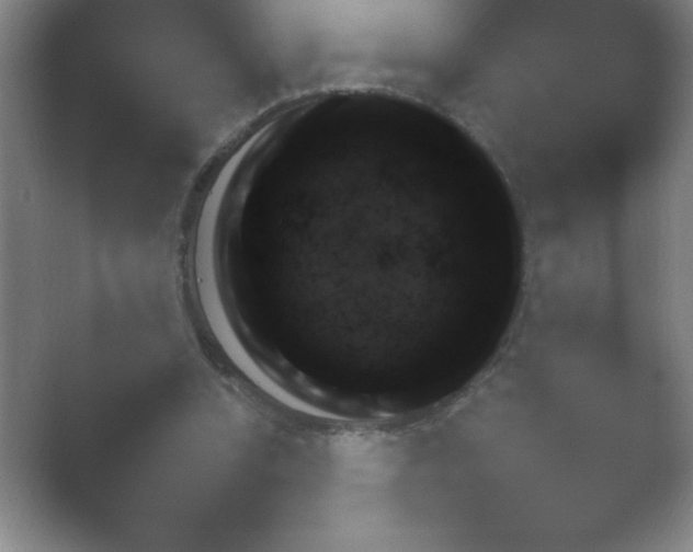 X0000054730346200508171857.png