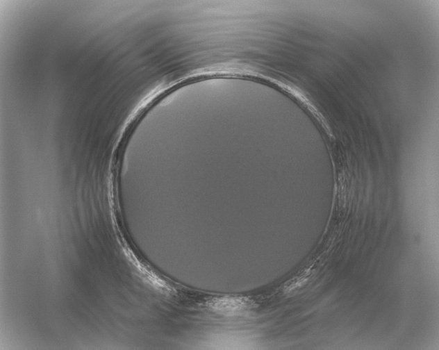 X0000054350998200508190123.png