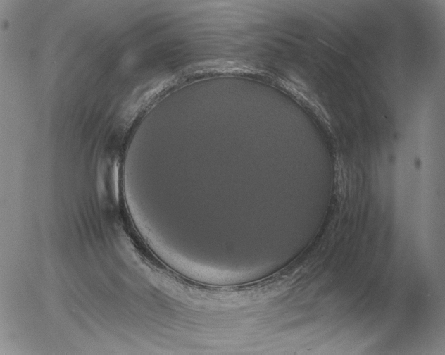 X0000054170014200508101811.png