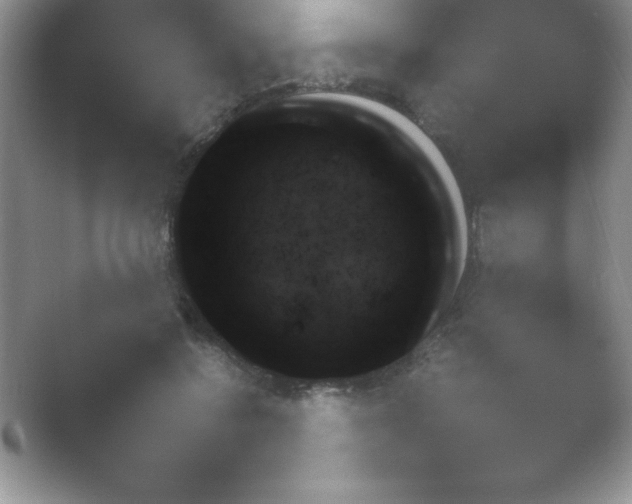 X0000054730550200508171854.png