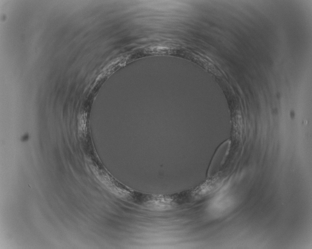 X0000054170278200508101807.png