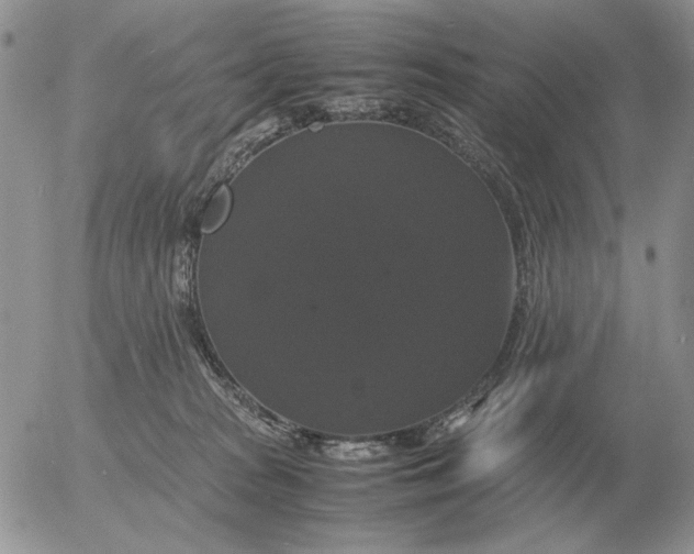 X0000054170277200508101807.png