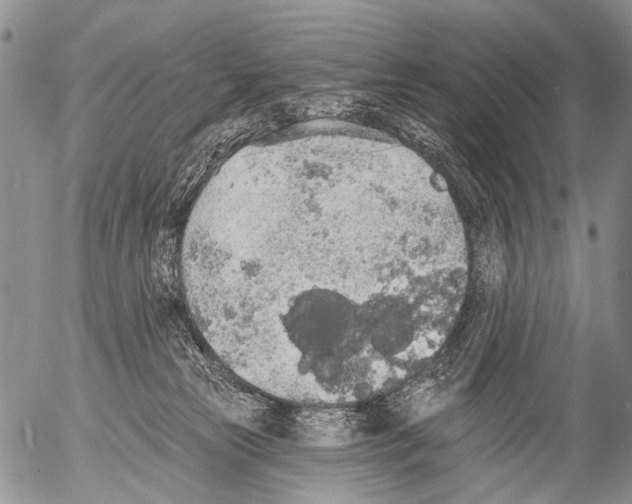 X0000054580181200508300110.png