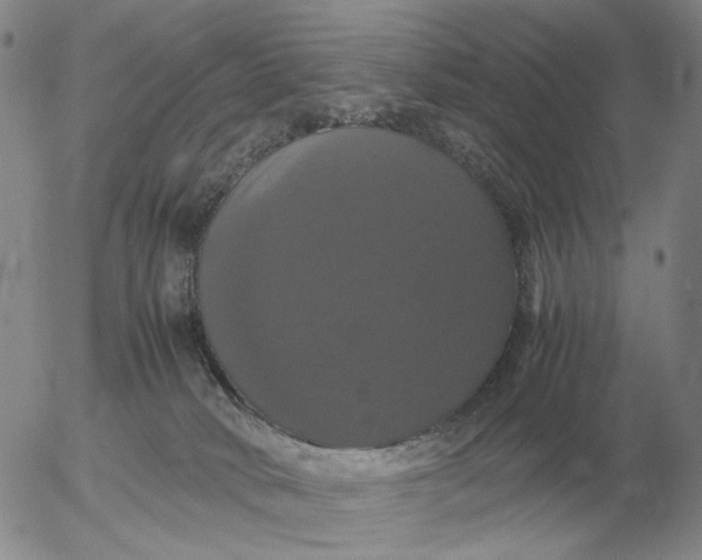 X0000054170034200508101811.png