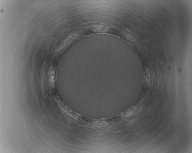 X0000054171154200508101752.png