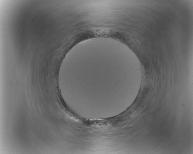 X0000054351345200508190117.png