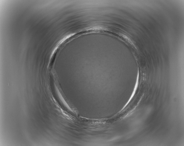 X0000054351117200508190121.png