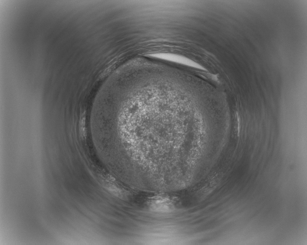 X0000054300267200508042318.png