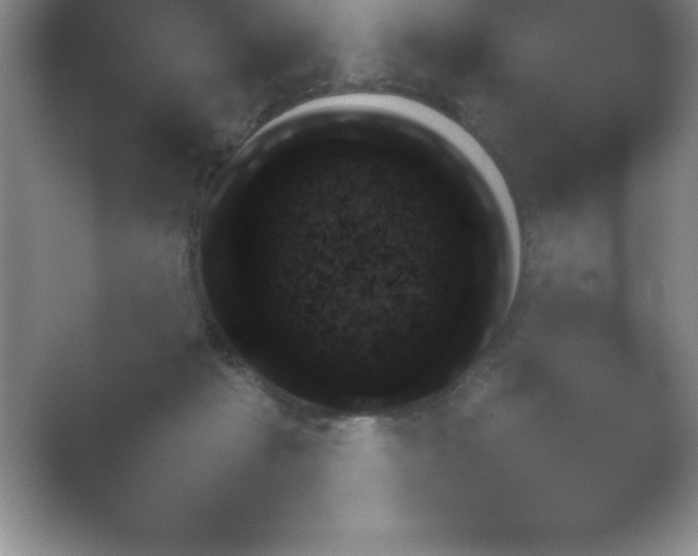X0000054730269200508171859.png