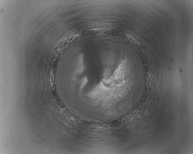 X0000054170917200508101755.png