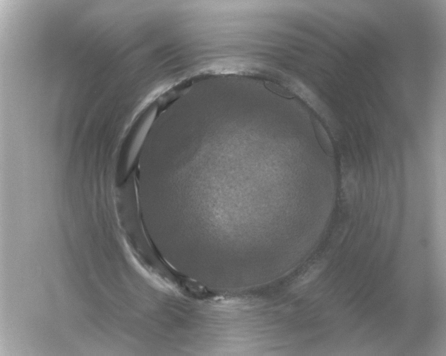 X0000054350530200508190130.png