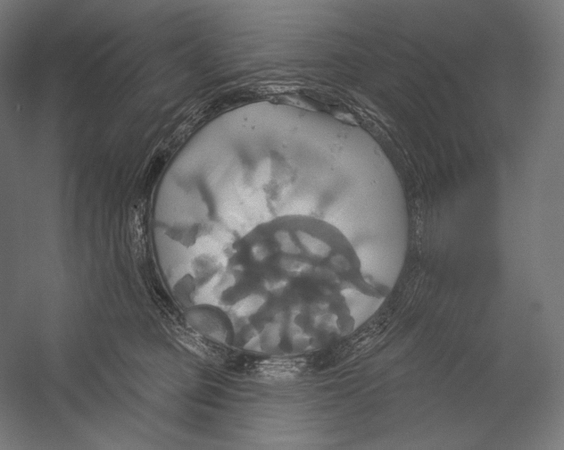 X0000055250373200509071622.png