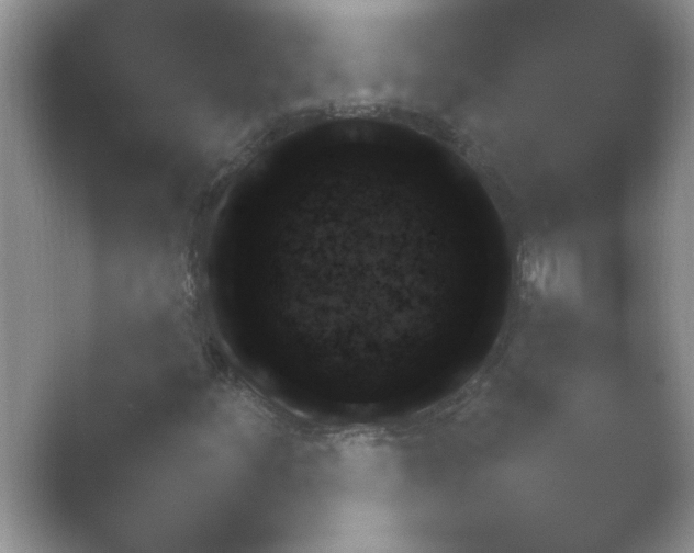 X0000054731252200508171843.png