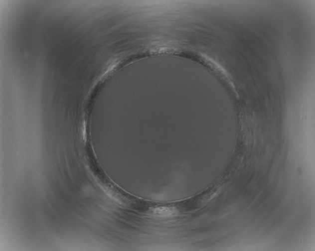 X0000054350067200508190139.png