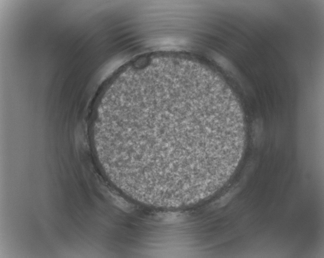 X0000053460970200508112153.png