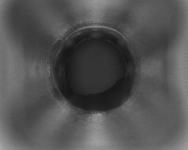 X0000054730168200508171901.png
