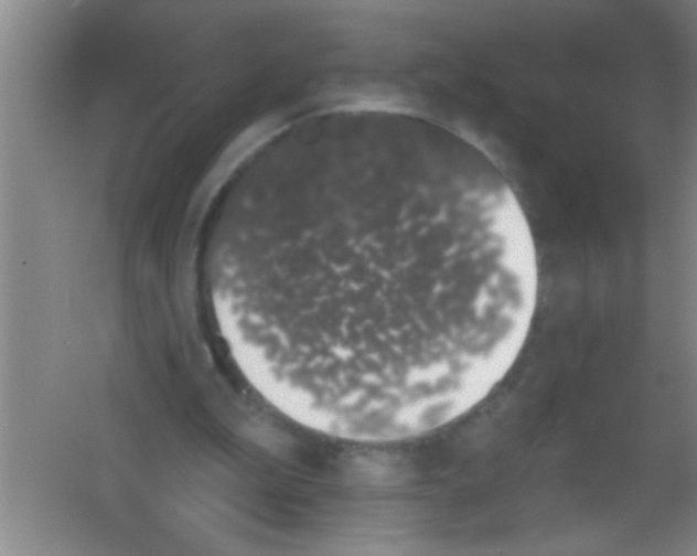 X0000053460199200508112206.png