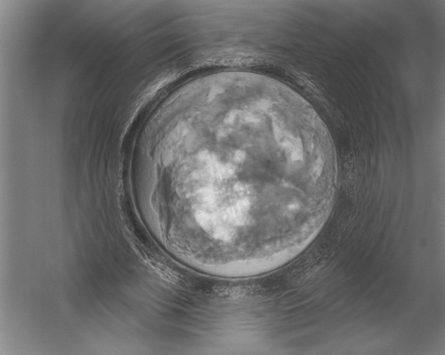 X0000055250679200509071616.png