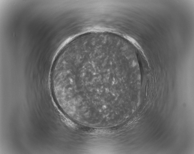 X0000054351183200508190120.png