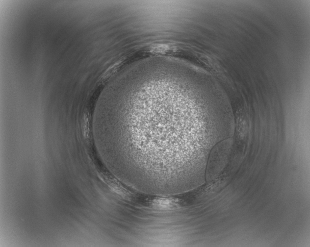 X0000054300375200508042316.png
